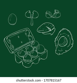 Vector Chalk Sketch Set of Eggs. Raw and Cooked Egg Illustration.