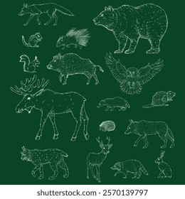 Vector Chalk Sketch Set of Forest Animals. Collection of Wild Mammals Illustrations.