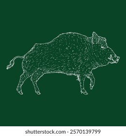 Vector Chalk Sketch Wild Boar Hand Drawn Illustration