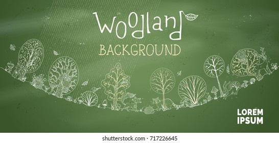Vector chalk woodland blackboard background. Autumn trees and falling leaves, mushrooms, clouds and rain. Grass and sky. Hand-drawn owl, squirrel, hedgehog, bird, hare, fox, deer, raccoon.