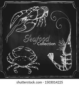 vector chalkboard seafood menu background. hand drawn blackboard seafood collection. background template with different sea animals on chalkboard design for shop, restaurant, menu, poster, banner