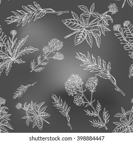 Vector chalkboard seamless floral pattern. Hand drawn decorative plants, design element.The blackboard in chalk style. Sketch flowers and leaves. Medicinal plants