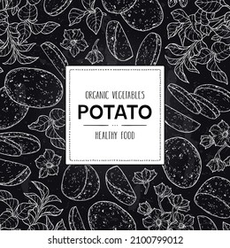 Vector chalkboard style background with potato. Organic plant drawing with unpeeled whole potato, slices, halves, flower and branch. Natural botanical lineart illustration. Healthy hand drawn doodle s