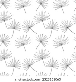 Vector chamaerops seamless pattern. Hand drawn tropical leaves sketch pattern