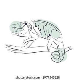 Vector chameleon in line art style. Design for prints.