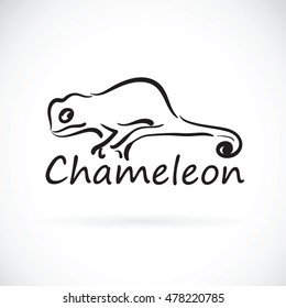 Vector of chameleon on white background.
