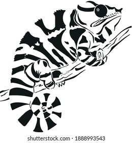 
patrón de camaleón vectorial reptil silueta en blanco y negro