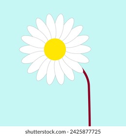 Vector chamomile flower.
Flower on a beautiful background
Chamomile icon