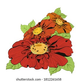 Vector. Chamomile flower on a white background. Collage of flowers and leaves. Drawing with colored pencils. Use printed materials, signs, objects, websites, maps.