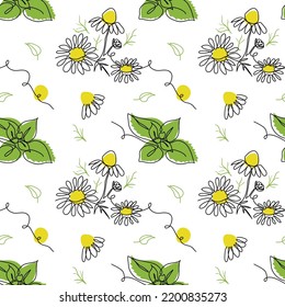 Vector chamomile flower seamless pattern with mint herb. Background design for herbal tea, natural cosmetics, health care products, aromatherapy, homeopathy. Best for print, wrapping paper.