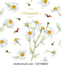 Vector chamomile flower seamless pattern with ladybug. Background design for herbal tea, natural cosmetics, health care products, aromatherapy, homeopathy. Best for print, wrapping paper