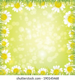 Vector Chamomile flowers