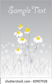 Vector chamomile flowers in the grass