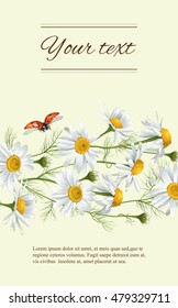 Vector chamomile flowers vertical banner. Design for tea, natural cosmetics, beauty store, organic health care products, perfume, essential oil, homeopathy, aromatherapy. With place for text