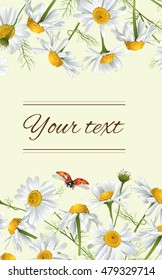 Vector chamomile flowers vertical banner. Design for tea, natural cosmetics, beauty store, organic health care products, perfume, essential oil, homeopathy, aromatherapy. With place for text