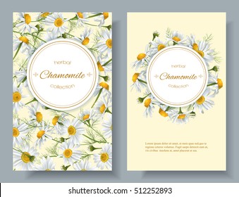 Vector chamomile flowers vertical banner. Design for tea, natural cosmetics, beauty store, organic health care products, perfume, essential oil, homeopathy, aromatherapy. With place for text