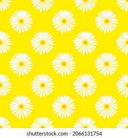 Vektorkamille auf gelbem Hintergrund. Blumen nahtloser Druck. leichte Sommerkleidung für Kleidung oder Druck.
