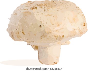 vector. champignon. fills only without gradients, mesh and blends.