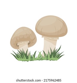 Vector Champignon Mushroom Set Isolated on White. Hand Drawn Cartoon Champignon Mushrooms. Design Template, Clipart. Mushroom Couple