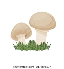Vector Champignon Mushroom Set Isolated on White. Hand Drawn Cartoon Champignon Mushrooms. Design Template, Clipart. Mushroom Couple