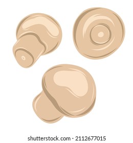 Ilustración de hongos del Vector Champignon. Alimentos vegetales naturales