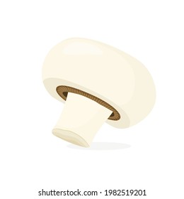 Vector Champignon mushrooms. Vegetable illustration for farm market menu. Healthy food design. Flat cartoon style