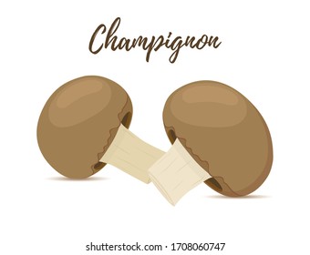Vector champignon set - brown forest mushrooms in cartoon flat style. Unpeeled raw food. Healthy nutrition.