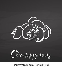 Vector Champignons drawing on chalkboard. Hand drawn healthy food sketch. Black and White Vector Drawing on Blackboard. 