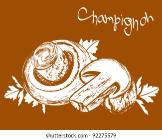 Vector champignons. Field mushrooms