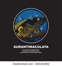 Ilustración de la caricatura de snakehead del vector chana aurantimaculata