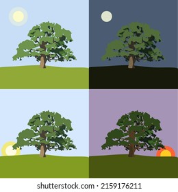 Vektorveränderung der Zeit morgens Abend Nachtbaum im Feld Sonne und Mond