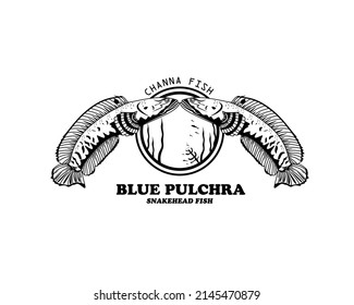 Vector Channa Blue Pulchra logo Predator Fish