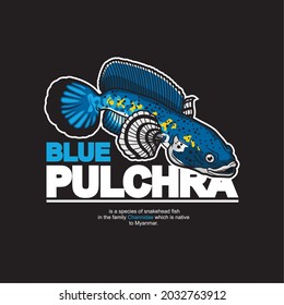 vector channa blue pulchra snakehead cartoon illustration