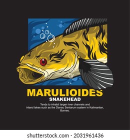 Vector channa marulioides snakehead illustration cartoon