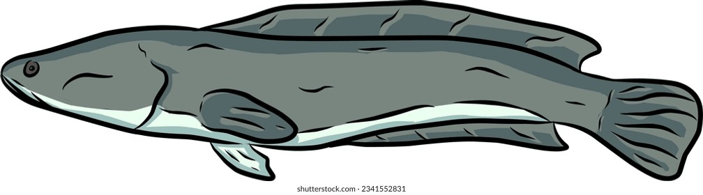 Vector del pez cabeza de serpiente Channa striata 