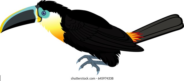 vector channel-billed toucan