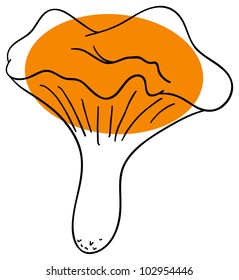 Vector chanterelle is isolated on a white background