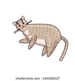 Vector Character of Australian Mist Cat in Kawaii Style. Cute Cartoon Kitty Character. Funny Kitten isolated on White Background. Sticker of Kawaii Animal, Pet. Flat design. Usable for Children's Book