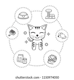 Vector of character cat and accessories cartoon style for design.