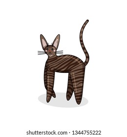 Vector Character of Cornish Rex Cat in Kawaii Style. Cute Cartoon Kid Character. Funny Kitten isolated on White Background. Sticker of Kawaii Animal, Pet. Flat design. Usable for Children's Book