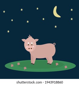 Vector character is a farm animal. Illustration of a piglet on a flat meadow and the night starry sky. Isolated livestock poster on dark background. Vector illustration