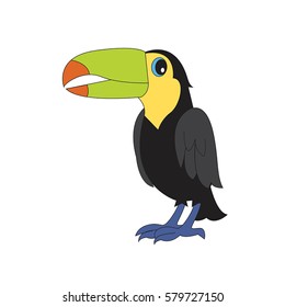 Vector character illustration. Cute bird toucan. Cartoon personage isolated on white background.
