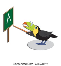 Vector character illustration. Cute bird toucan. Cartoon personage on white background. 