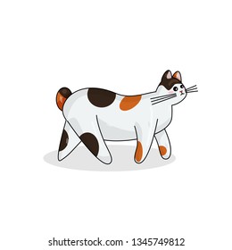 Vector Character of Japanese Bobtail Cat in Kawaii Style. Cute Cartoon Kitty Character. Funny Kitten isolated on White Background. Sticker of Kawaii Animal, Pet. Flat design. Usable for Childrens Book