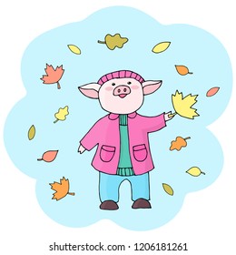 Vector cheerful pig in a coat and hat rejoices at the leaf fall and collects autumn leaves