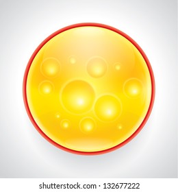 Vector cheese circle icon