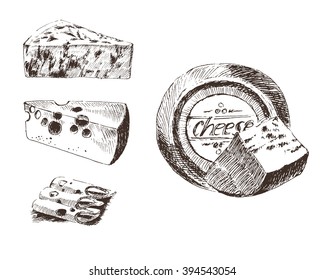 vector cheese sketch drawing designer template