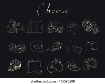 vector cheese sketch drawing designer template. farm food collection natural eco food