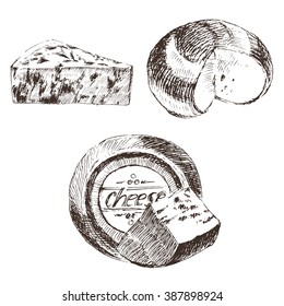 vector cheese sketch drawing, gouda, blue, edammer, maasdam, brie, mozzarella, parmesan, roquefort, camembert