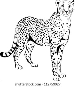 vector cheetah